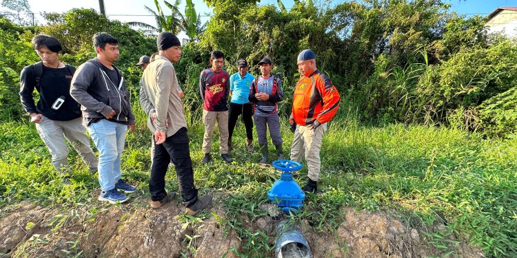 Mengalirnya Air, Tumbuhnya Asa: Buah Manis Transformasi Pertanian Kutai Kartanegara Di Kepemimpinan Edi Damansyah
