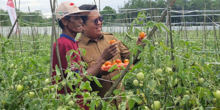 Genjot Sektor Pertanian Kukar Sebagai Lumbung Pangan IKN, Edi – Rendi Gelontorkan 700 M