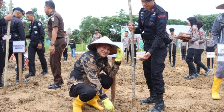 Sayid Muziburrachman Dorong Pemanfaatan Lahan Tidur untuk Dukung Ketahanan Pangan