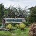 Kebun Raya Balikpapan, Oase Hijau Pelestarian Flora Kalimantan