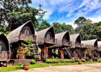 Menguak Pesona Ladaya: Destinasi Keluarga dengan Sentuhan Tradisi Dayak”l