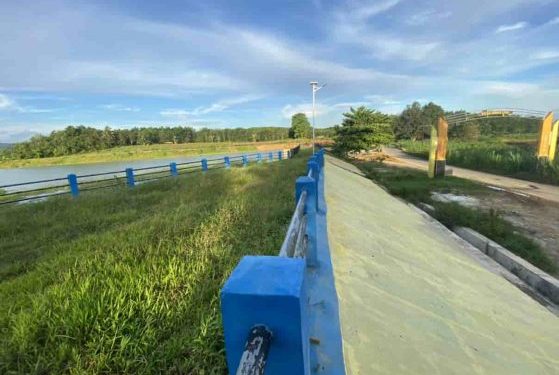 Menjelajah Pesona Alam dan Tradisi Unik di Desa  Damit