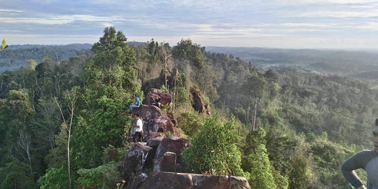 Eksplorasi Alam di Bukit Batu Dinding Tenggarong Kaltim
