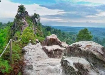 Eksplorasi Alam di Bukit Batu Dinding Tenggarong Kaltim