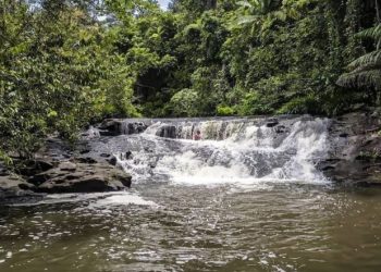 Kedang Ipil: Menyelami Keindahan Alam dan Budaya Adat di Tenggarong