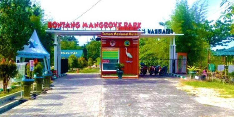 Eksotisme Bontang Mangrove Park di Kalimantan Timur