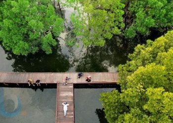 Mangrove Berbas Pantai Menjadi Destinasi Ekowisata Andalan di Bontang