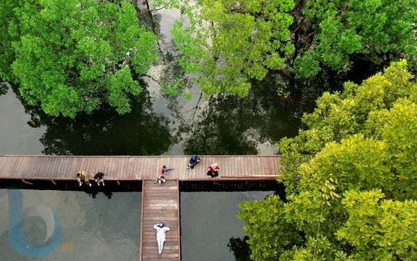 Mangrove Berbas Pantai Menjadi Destinasi Ekowisata Andalan di Bontang