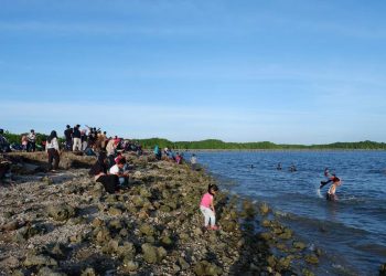 Keindahan Tanjung Laut, Destinasi Wisata Pantai di Kota Bontang