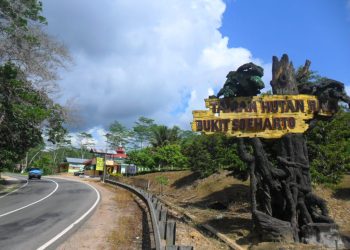 Taman Hutan Raya Bukit Soeharto: Destinasi Trekking dan Konservasi di Kalimantan Timur