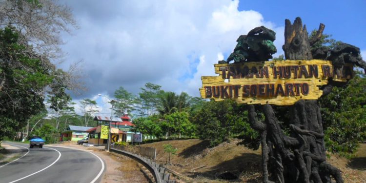 Taman Hutan Raya Bukit Soeharto: Destinasi Trekking dan Konservasi di Kalimantan Timur