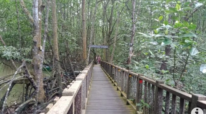 Mangrove Kampung Baru PPU: Wisata Edukasi Berbasis Konservasi