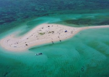 Pulau Gusung: Keindahan Alam dan Kehidupan Laut di Kalimantan Timur