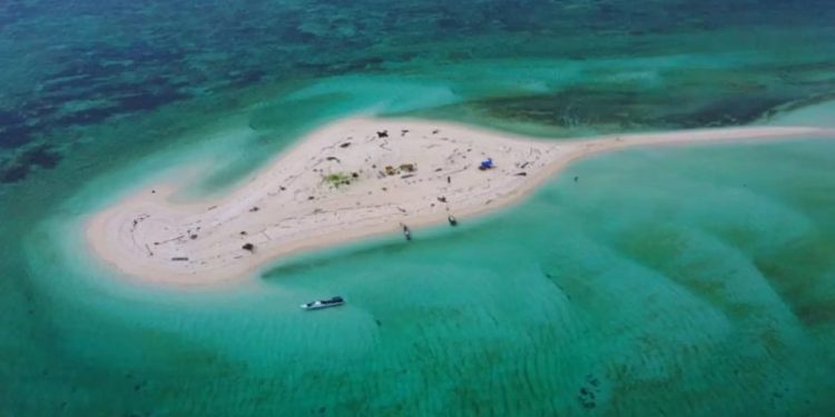 *ADV 94*  Pulau Gusung: Keindahan Alam dan Kehidupan Laut di Kalimantan Timur