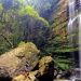 Air Terjun Niaga Tembinus: Keindahan Alam yang Menanti untuk Dijelajahi