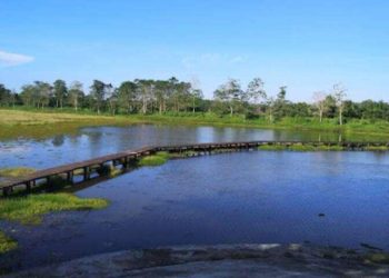Waduk Sesulu: Pesona Alam dan Wisata Memancing di Penajam Paser Utara