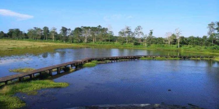 Waduk Sesulu: Pesona Alam dan Wisata Memancing di Penajam Paser Utara