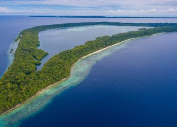 Eksotisme Pulau Kakaban: Danau Ubur-Ubur dan Keindahan Bawah Lautnya