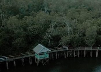 Desa Wisata Mentawir: Potensi Alam dan Budaya di Gerbang IKN