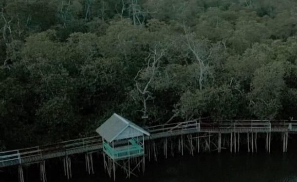 Desa Wisata Mentawir: Potensi Alam dan Budaya di Gerbang IKN