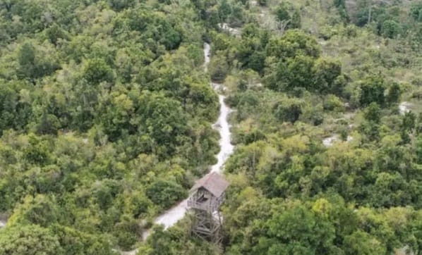 Kersik Luway: Keindahan Alam dan Pentingnya Konservasi