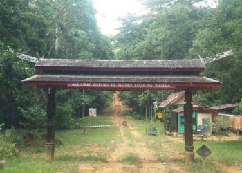 Hutan Lindung Wehea: Destinasi Ekowisata Bernilai Konservasi Tinggi di Kalimantan Timur