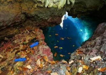 Menelusuri Keindahan Goa Aji Mangku di Pulau Maratua