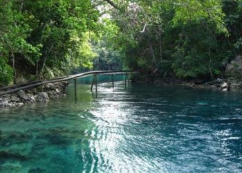 Danau Labuan Kelambu: Pesona Alam yang Menenangkan