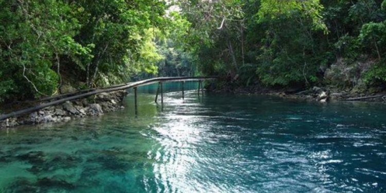 Danau Labuan Kelambu: Pesona Alam yang Menenangkan