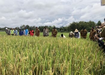 Kolaborasi Jadi Kunci, Distanak Kukar Dorong Peningkatan Pertanian dan Peternakan