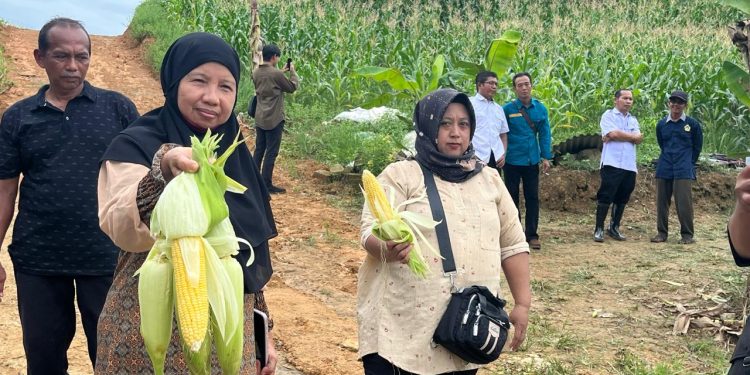 Bupati Kukar Apresiasi Terhadap Perkembangan Pertanian di Maluhu