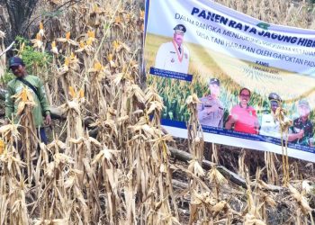 Kolaborasi Pemerintah, Swasta, dan Masyarakat Perkuat Ketahanan Pangan di Loa Janan