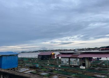 Dari Pertanian ke Perikanan: Loa Ulung Ubah Arah Ekonomi Lokal Lewat Keramba Ikan