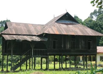 Rencana Bangun Rumah Adat Kutai, Disdik Kukar Beri Warna Baru di Kawasan Museum Kayu