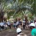 Disbun Kukar Dorong Perkebunan Sawit Rakyat Lewat Skema CPCL