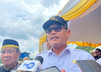 Upaya Listrikkan 109 Desa di Kaltim Tersendat, Pengembangan PLTS Terkendala Regulasi PLN